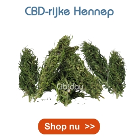 CBD hennep