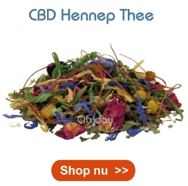 CBD Hennep Thee