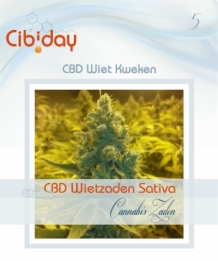 CBD Wiet Zaden Sativa