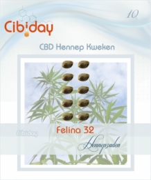 Felina 32 CBD Hennepzaden