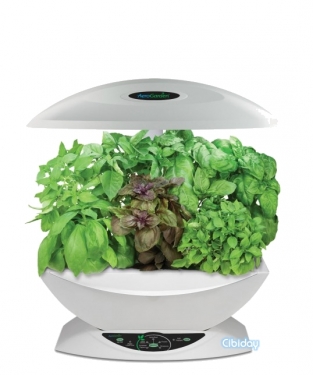 AeroGarden Wit