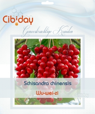 Wu-wei-zi - Schisandra chinensis